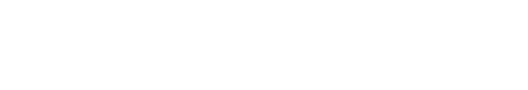 Bizzyman